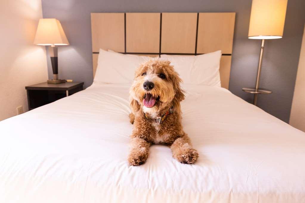 Sonesta Simply Suites Cleveland North Olmsted Airport Eksteriør billede